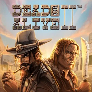 Dead or Alive 2 slot